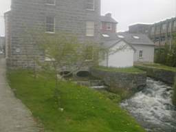 millstreet 14130.jpg